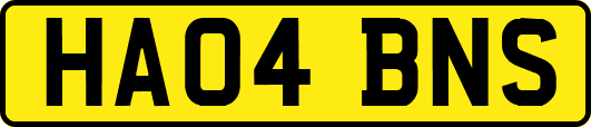 HA04BNS