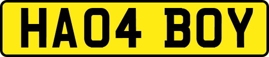 HA04BOY