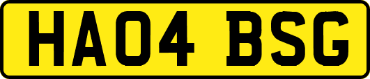HA04BSG