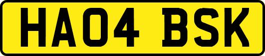 HA04BSK