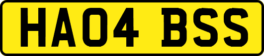 HA04BSS