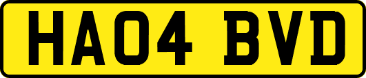 HA04BVD