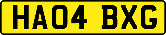 HA04BXG