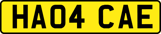 HA04CAE
