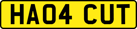 HA04CUT