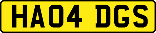HA04DGS