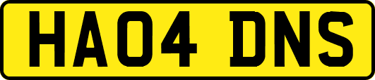 HA04DNS