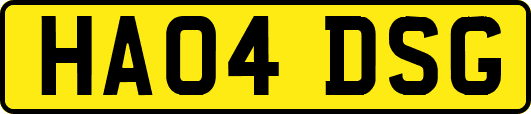 HA04DSG