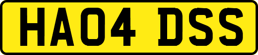 HA04DSS