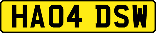 HA04DSW