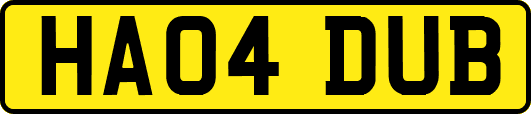 HA04DUB