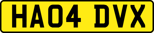 HA04DVX