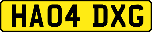HA04DXG