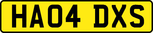 HA04DXS