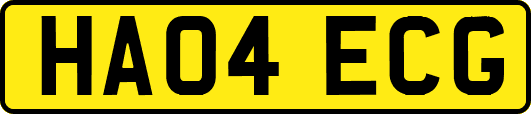 HA04ECG
