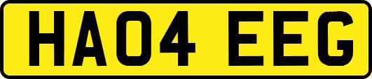 HA04EEG