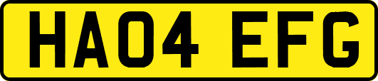 HA04EFG