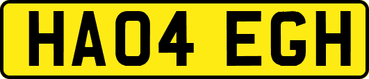 HA04EGH