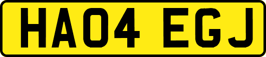 HA04EGJ