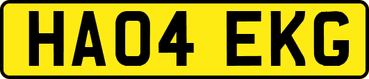 HA04EKG