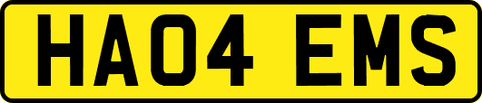 HA04EMS