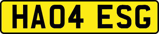 HA04ESG
