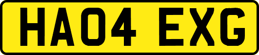 HA04EXG