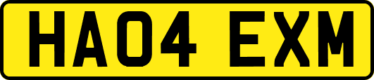 HA04EXM
