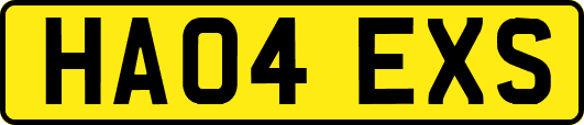 HA04EXS