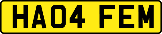 HA04FEM