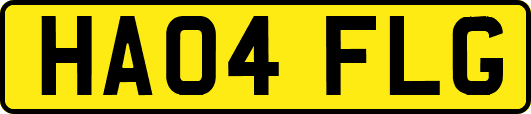 HA04FLG