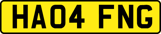 HA04FNG