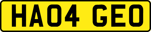 HA04GEO