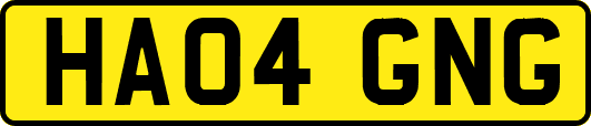 HA04GNG