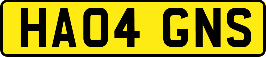HA04GNS