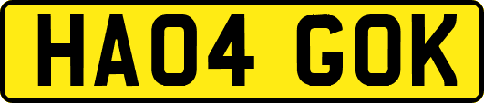 HA04GOK