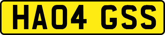 HA04GSS