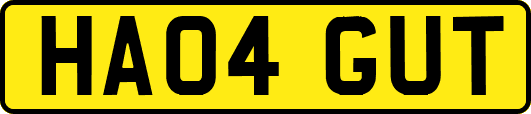 HA04GUT