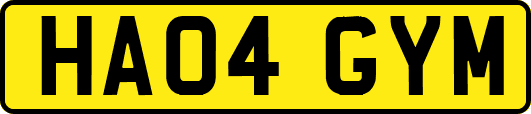 HA04GYM