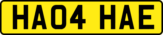 HA04HAE