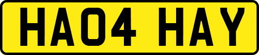 HA04HAY