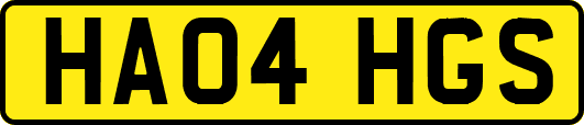 HA04HGS