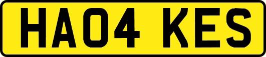HA04KES