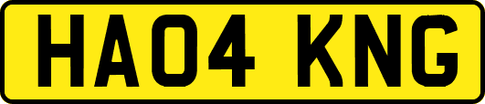 HA04KNG