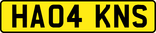 HA04KNS