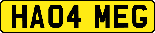 HA04MEG