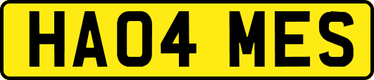 HA04MES