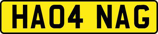 HA04NAG