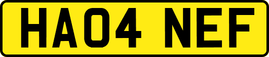 HA04NEF