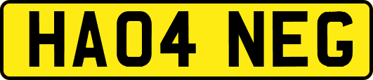 HA04NEG